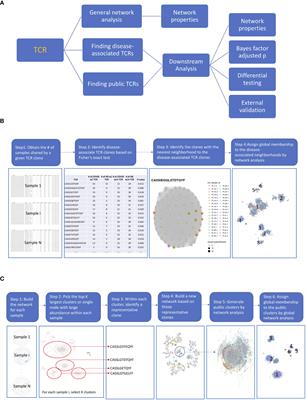 NAIR: Network Analysis of Immune Repertoire